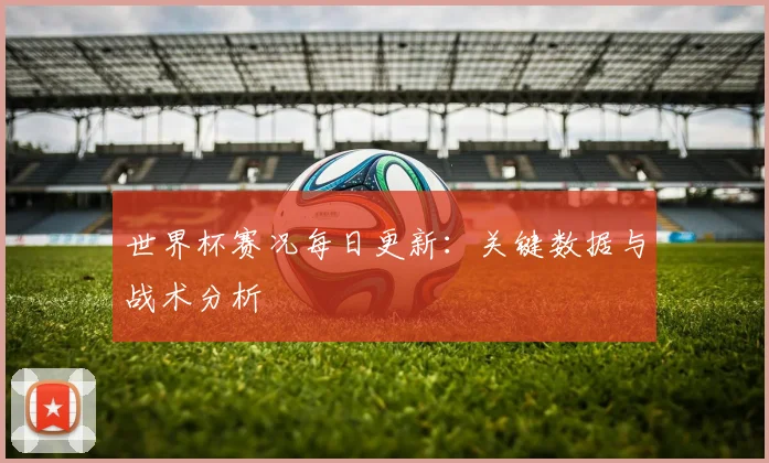 世界杯赛况每日更新：关键数据与战术分析