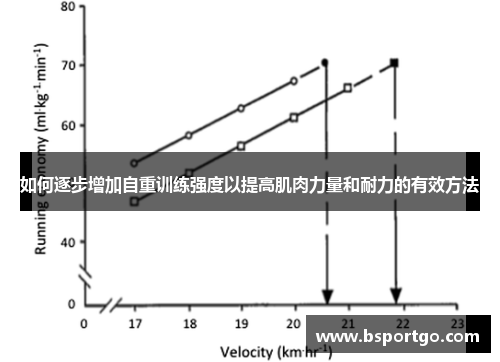 如何逐步增加自重训练强度以提高肌肉力量和耐力的有效方法