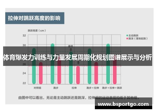 体育爆发力训练与力量发展周期化规划图谱展示与分析